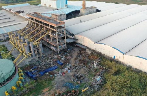 桂平市蒙圩镇农作物因陶瓷厂污染减产 大气污染监测亟待加强